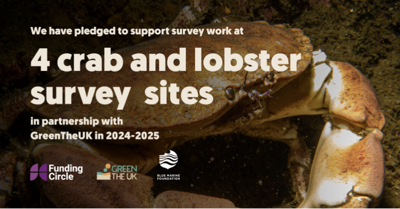 Funding Circle partners with GreenTheUK to support UK nature and ...
